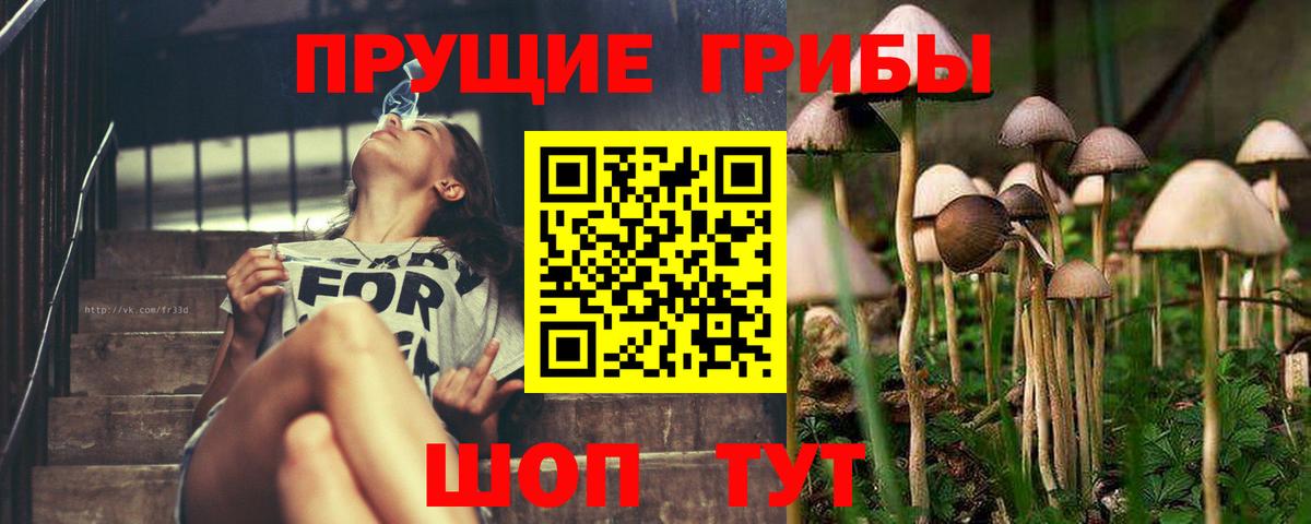 Псилоцибиновые грибы мухоморы  Вход с VPN  Тольятти 